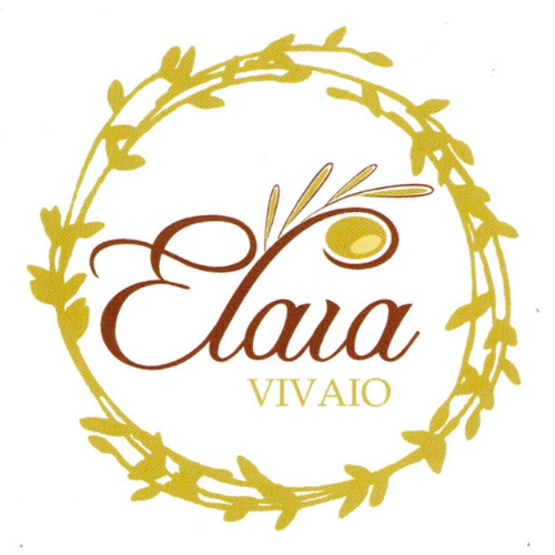 Vivaio Elaia 